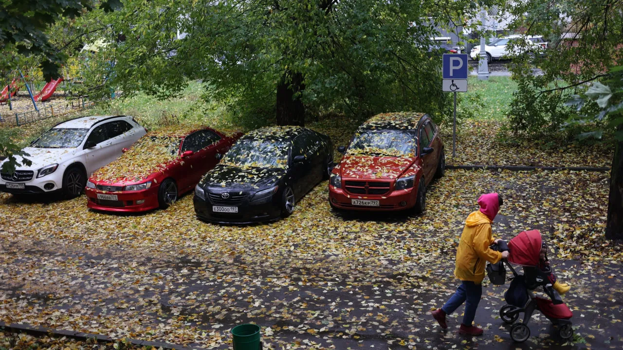 Изображение новости