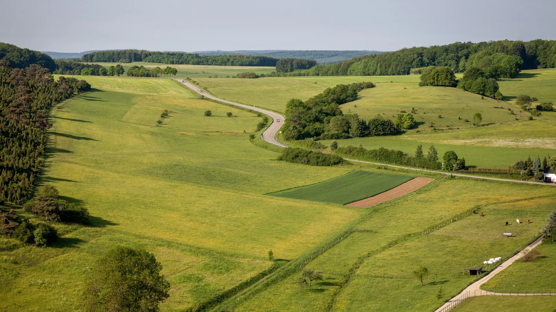 Изображение новости