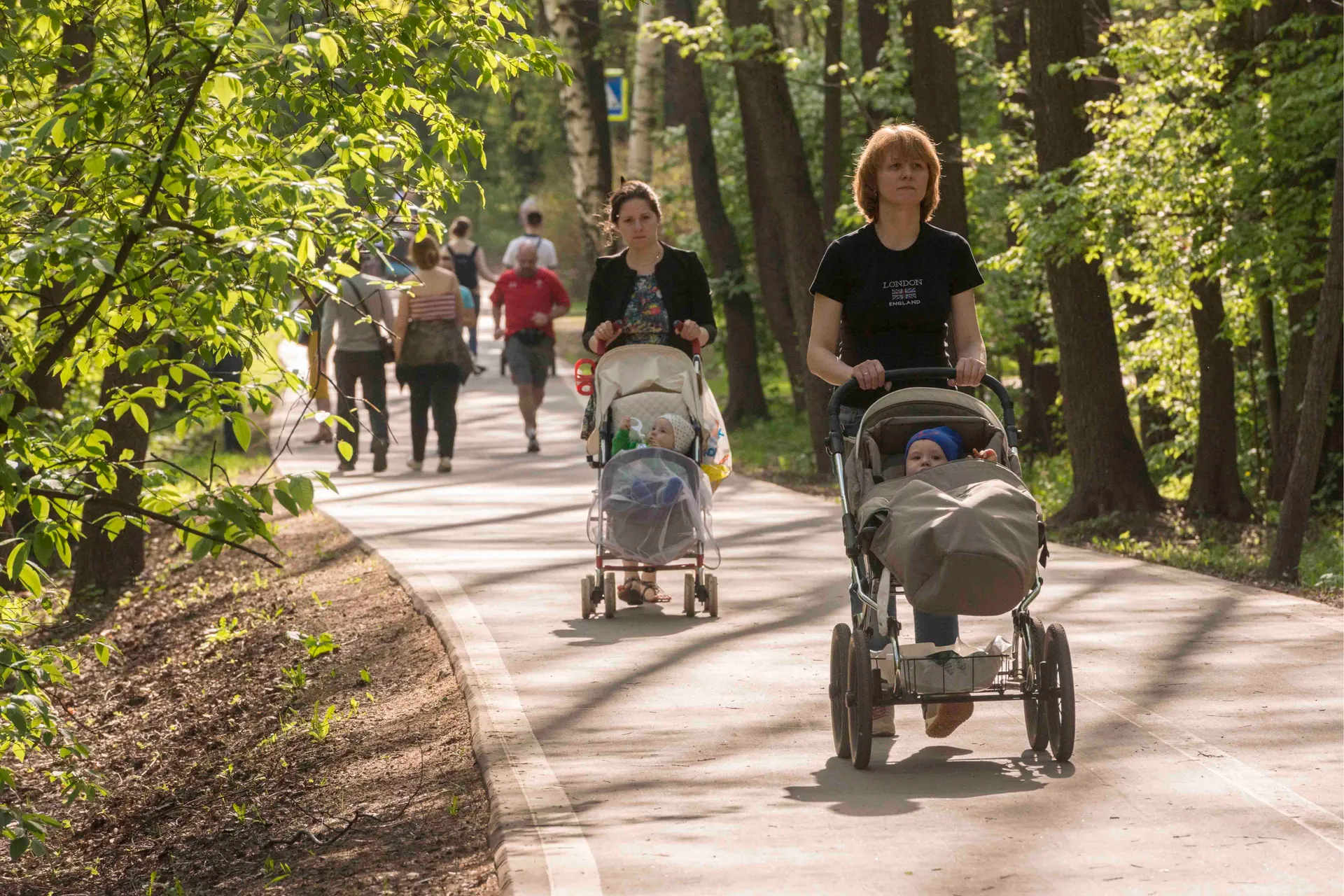 Изображение новости