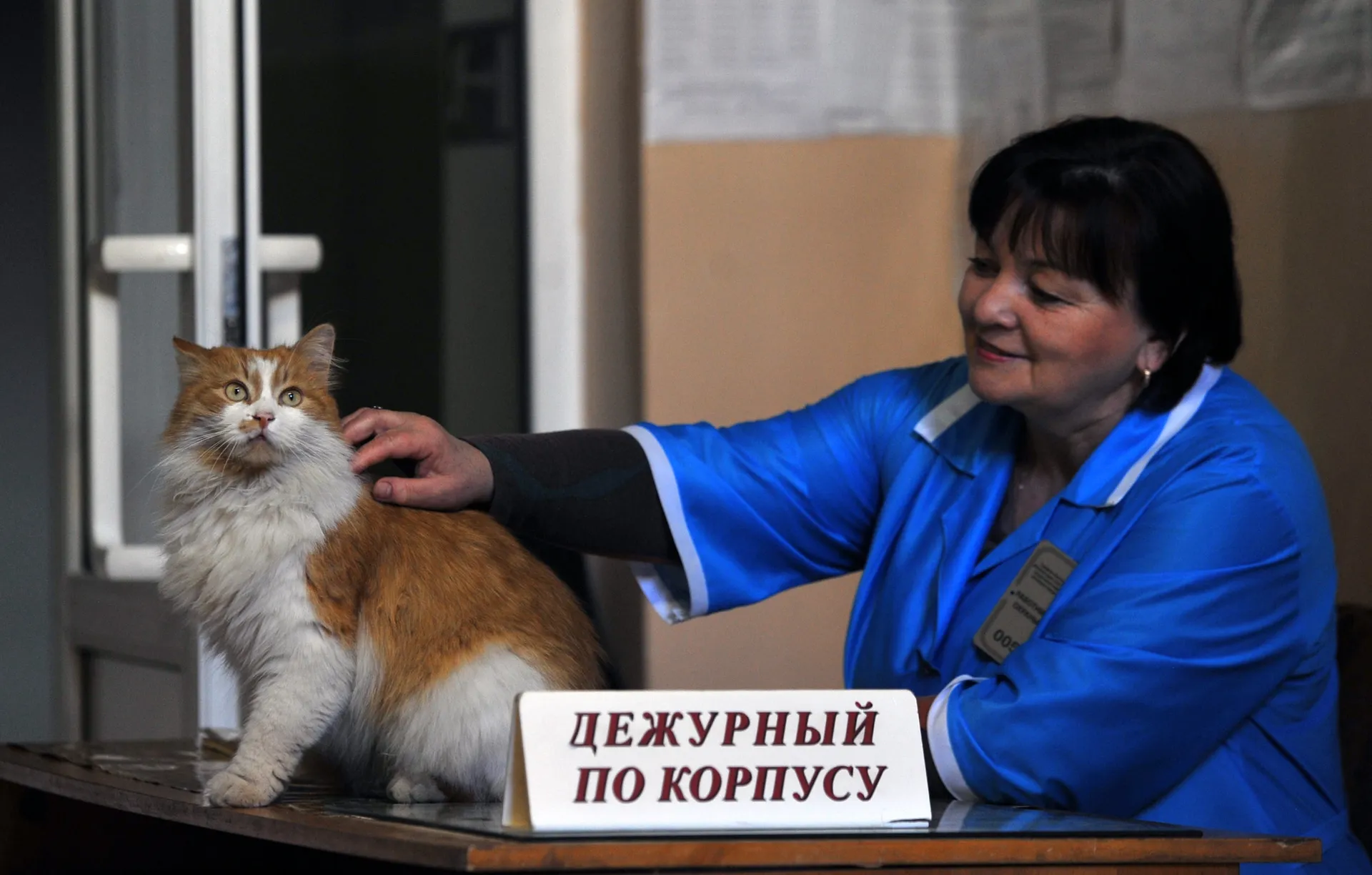 Изображение новости