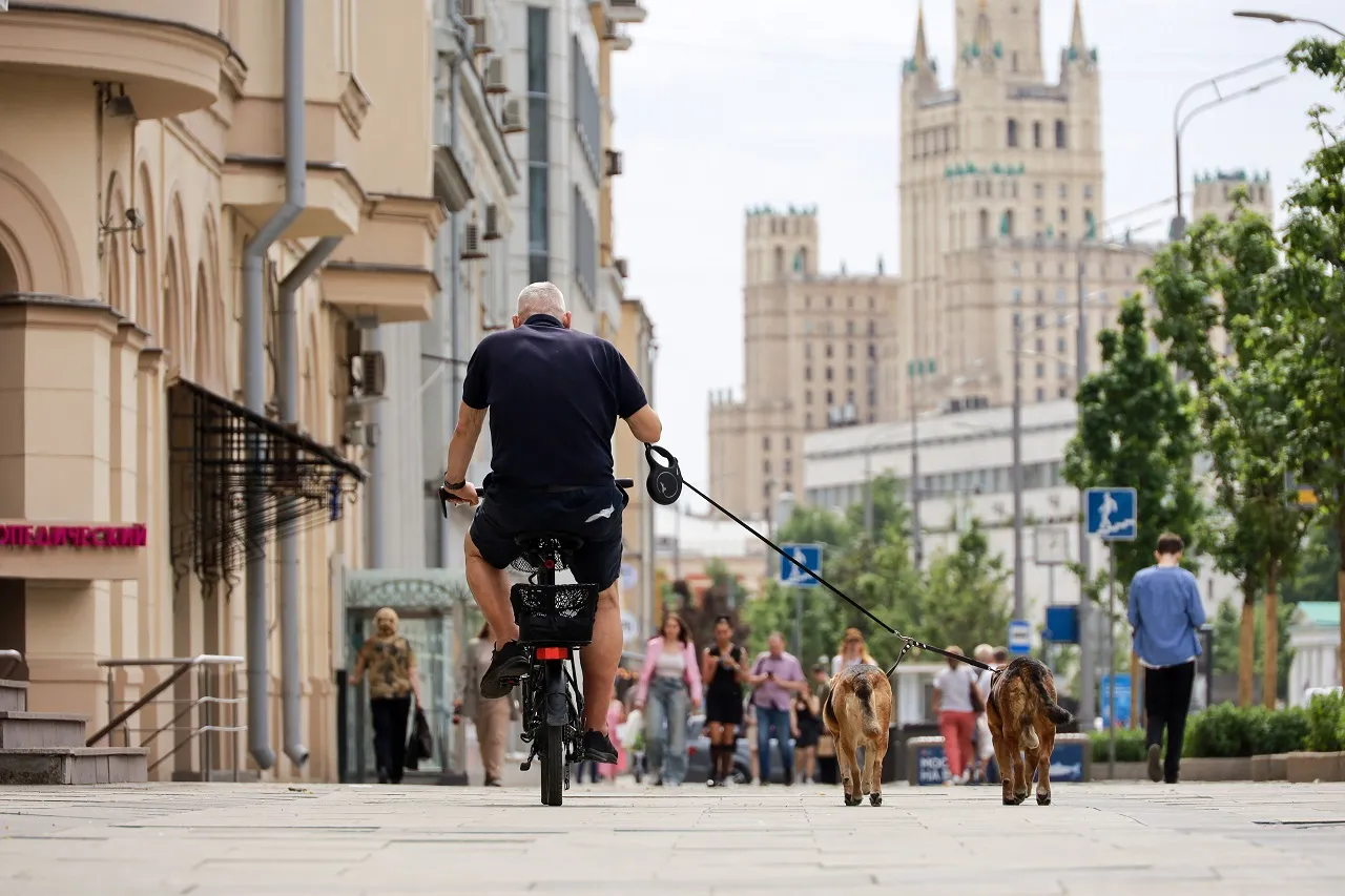 Изображение новости