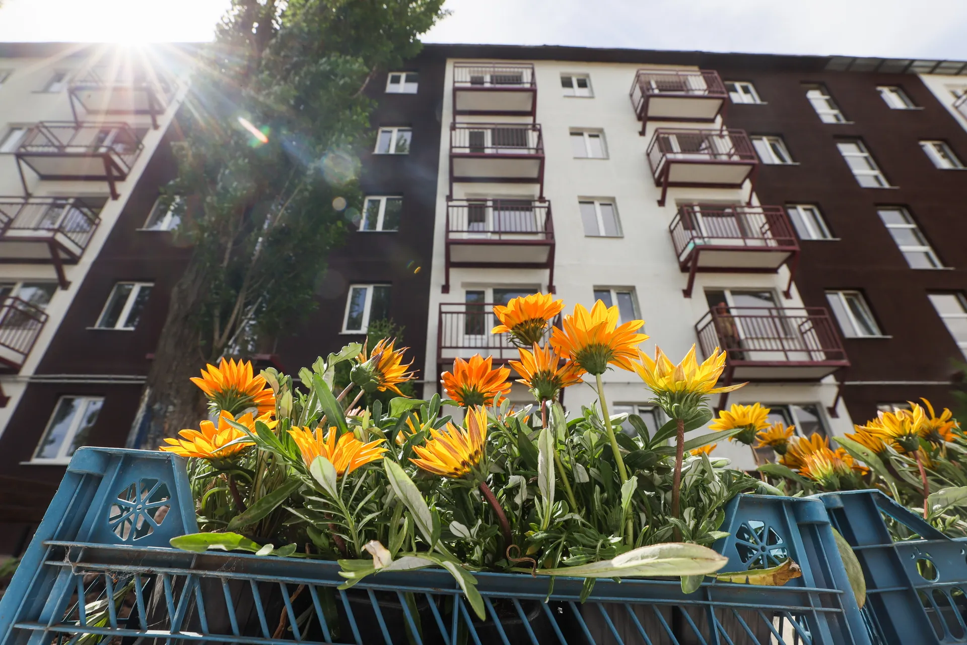 Изображение новости