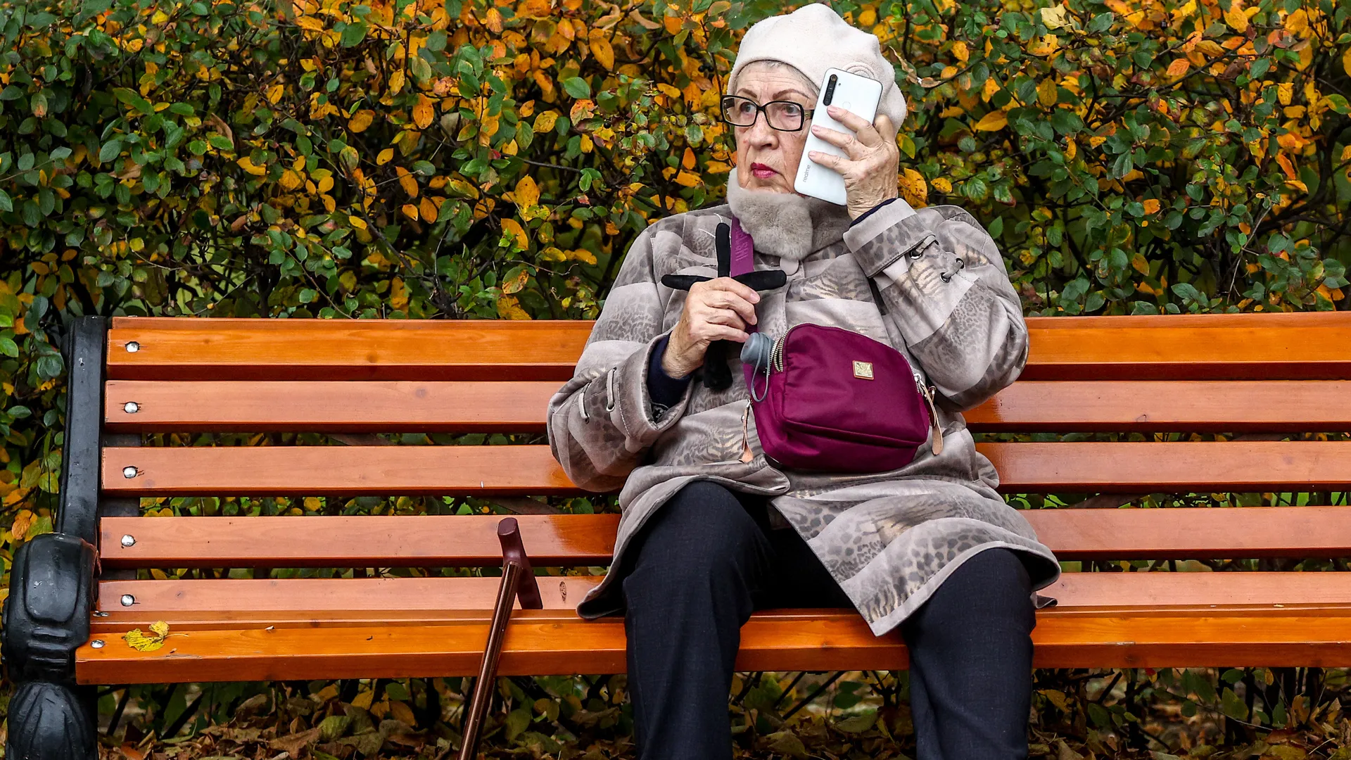 Изображение новости