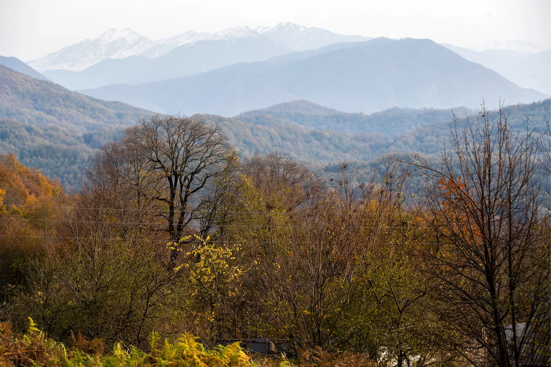 Краснодарский край. Вид на лес и горы в Сочинском национальном парке