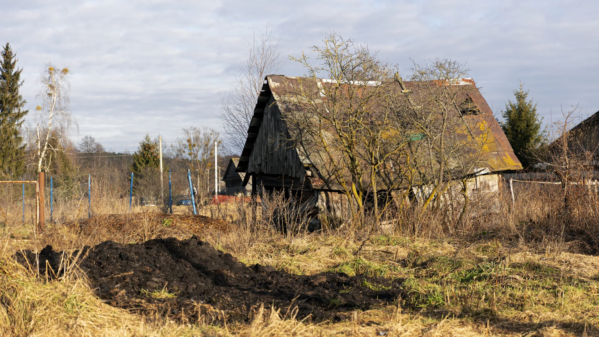Изображение новости