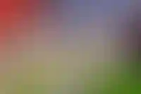 Лучшие подрядчики отрасли