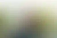 Движение — это праздник