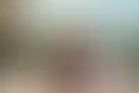 Четыре лучших сцены