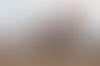 Мэрия Москвы выставила на торги участок почти на 1 га в «Сити-2» за 12 млрд рублей_6762