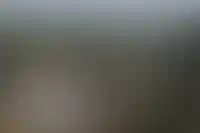 Сокращен список городов для покупки вторичного жилья по семейной ипотеке_3787