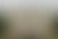 ДОМ.РФ прогнозирует снижение ключевой ставки до 16% к концу года_3502