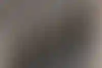 Минфин обсуждает ставку в 12% по ипотеке для семей с детьми старше 6 лет_191