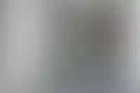 «Недвижимые активы» хотят выкупить акции ПИК с премией 11%_6140