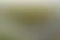 Генпрокуратура добилась возврата 120 тыс. га земель государству по итогам 2025 года_6249