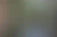 Цена «двушки» в Москве догнала стоимость элитной недвижимости во Франции и Таиланде_1047