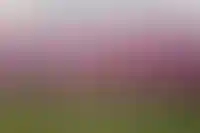 Требования Wildberries к «ВБ Девелопмент» выросли до 37 млрд руб_1274