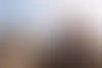 В ПИК рассказали, как санкции США повлияют на их работу
_112