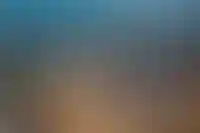 ЛСР выплатит акционерам дивиденды за 2024 год на 8,4 млрд рублей_2727