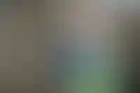 Половина топ-менеджеров в стройотрасли осталась без бонусов в 2025 году_6133