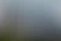 Пробный пост