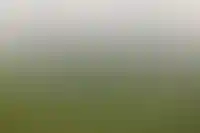 В Минстрое предложили создавать специальные агентства для проектов КРТ в регионах_3702