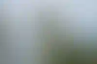 ФСК планирует второй выпуск ЦФА на 1 млрд руб_961