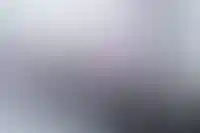 На Wildberries появились квартиры еще от 12 застройщиков_4303