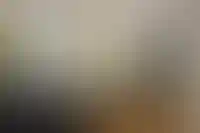 В 2024 году вакантные площади коммерческой недвижимости достигли минимума за 15 лет_2239