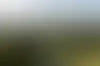 Подмосковье лидирует в рейтинге посуточной аренды загородного жилья на бархатный сезон_1179