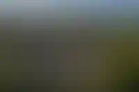 Доля ИЖС из блоков, кирпича и дерева выросла на фоне сокращения монолитки_843