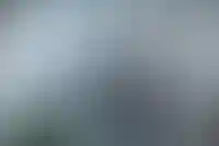 Мутко предположил, что будущее льготной ипотеки станет ясным после выборов президента
_135