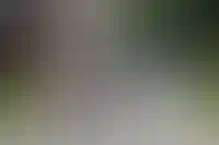 Повышение ставки по семейной ипотеке затронет 40% российских семей_4574