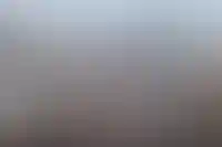 Дольщики ДСК-1 в Сургуте не могут дождаться квартир в ЖК и связаться с застройщиком_6258