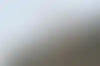 DOGMA вложит 51,2 млрд рублей в ЖК в Краснодаре и Омске_3606