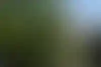 «Самолет» готов продать часть своей земли в Подмосковье_596