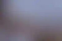 Мнение: Арктике нужны проекты, учитывающие особенности климата_1360