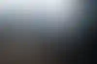 За три года инвесторы арендовали 270 га земли в Москве за 1 рубль в год_3102