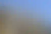 Банк России допустил дальнейшее повышение ключевой ставки_772