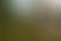 Новые законы о недвижимости и ЖКХ в августе 2024 года: что изменится_810