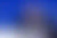 ВТБ прогнозирует снижение ключевой ставки ЦБ в 2025 году до 19%_2577