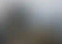 Доля ДФО в строительстве РФ выросла до 4,5% за последние годы_4432