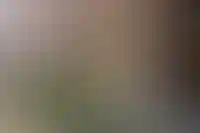 Когда выгоднее покупать квартиру: цены и времена года_3163