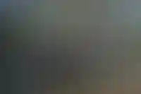 Аренда домов на майские праздники в России подорожала за год на 8%_2898