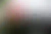 Setl Group разместит на Мосбирже облигации на 6 млрд рублей_2879