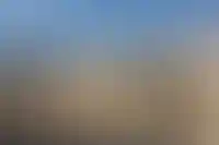 ELEMENT приобрел участок на берегу Финского залива у группы ЛСР_834