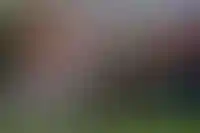 На стройке ПИК в Москве из пожара спасли 19 рабочих_4059