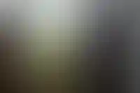 В Москве реорганизуют более 140 га по февральским решениям о КРТ_2634