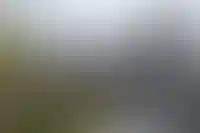 Эффект льготки: четверть квартир на вторичном рынке — в новостройках_3092