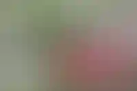 На майские праздники россиян ждут всего по три выходных_6154