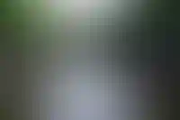 В пустующем здании торгпредства России в Амстердаме жили сквоттеры_5883